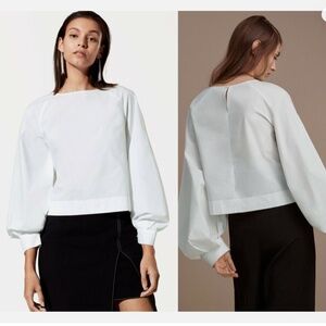 Aritzia Babaton Poplin Blouse